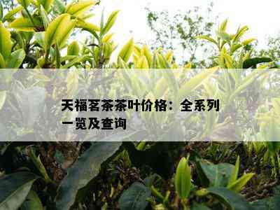 天福茗茶茶叶价格：全系列一览及查询