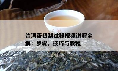 普洱茶初制过程视频讲解全解：步骤、技巧与教程