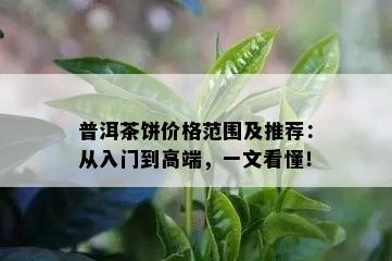 普洱茶饼价格范围及推荐：从入门到高端，一文看懂！