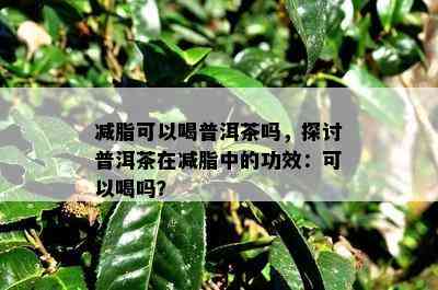 减脂可以喝普洱茶吗，探讨普洱茶在减脂中的功效：可以喝吗？