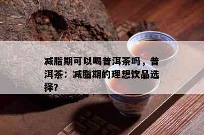 减脂期可以喝普洱茶吗，普洱茶：减脂期的理想饮品选择？