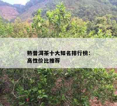 熟普洱茶十大知名排行榜：高性价比推荐