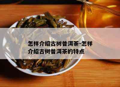 怎样介绍古树普洱茶-怎样介绍古树普洱茶的特点