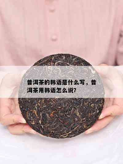 普洱茶的韩语是什么写，普洱茶用韩语怎么说？