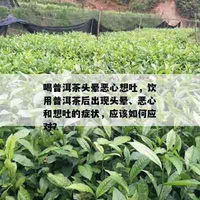 喝普洱茶头晕恶心想吐，饮用普洱茶后出现头晕、恶心和想吐的症状，应该如何应对？