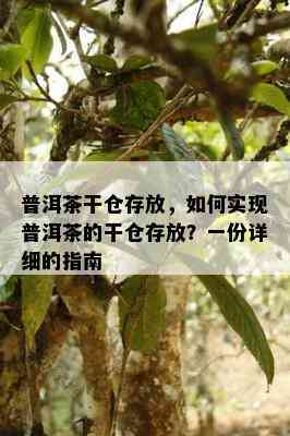 普洱茶干仓存放，如何实现普洱茶的干仓存放？一份详细的指南