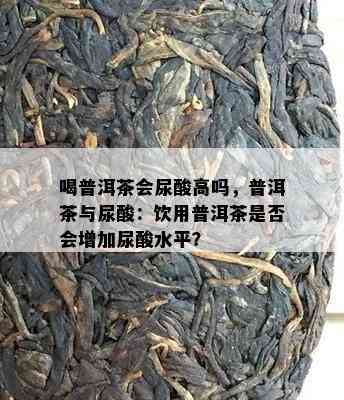 喝普洱茶会尿酸高吗，普洱茶与尿酸：饮用普洱茶是否会增加尿酸水平？