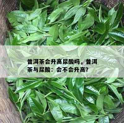 普洱茶会升高尿酸吗，普洱茶与尿酸：会不会升高？