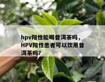 hpv阳性能喝普洱茶吗，HPV阳性患者可以饮用普洱茶吗？