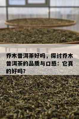 乔木普洱茶好吗，探讨乔木普洱茶的品质与口感：它真的好吗？