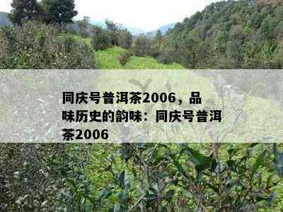 同庆号普洱茶2006，品味历史的韵味：同庆号普洱茶2006