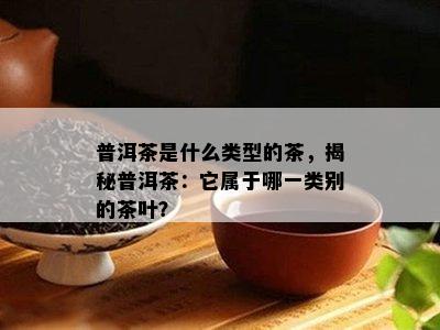 普洱茶是什么类型的茶，揭秘普洱茶：它属于哪一类别的茶叶？