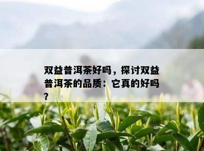 双益普洱茶好吗，探讨双益普洱茶的品质：它真的好吗？