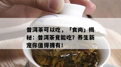 普洱茶可以吃，「食尚」揭秘：普洱茶竟能吃？养生新宠你值得拥有！