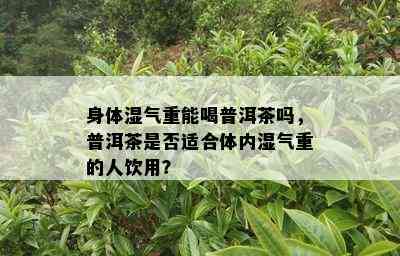 身体湿气重能喝普洱茶吗，普洱茶是否适合体内湿气重的人饮用？