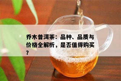 乔木普洱茶：品种、品质与价格全解析，是否值得购买？