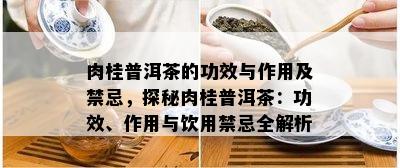 肉桂普洱茶的功效与作用及禁忌，探秘肉桂普洱茶：功效、作用与饮用禁忌全解析