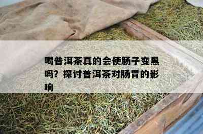 喝普洱茶真的会使肠子变黑吗？探讨普洱茶对肠胃的影响