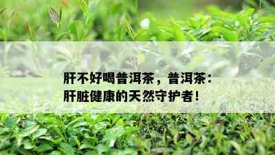 肝不好喝普洱茶，普洱茶：肝脏健康的天然守护者！