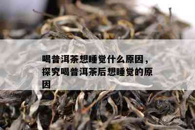 喝普洱茶想睡觉什么原因，探究喝普洱茶后想睡觉的原因