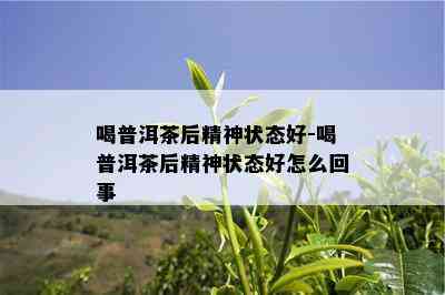 喝普洱茶后精神状态好-喝普洱茶后精神状态好怎么回事