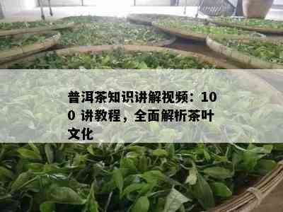 普洱茶知识讲解视频：100 讲教程，全面解析茶叶文化