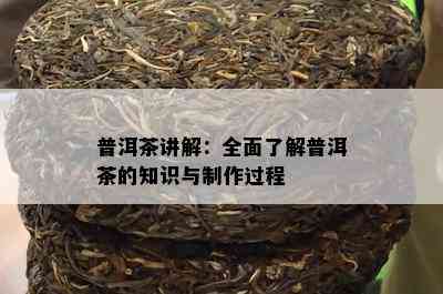 普洱茶讲解：全面了解普洱茶的知识与制作过程