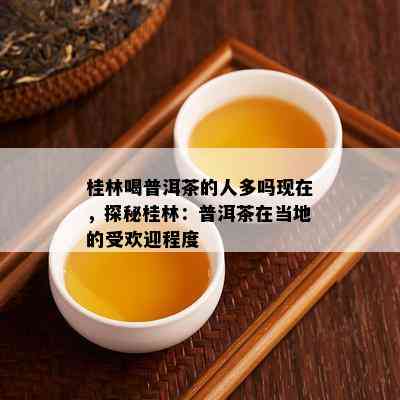 桂林喝普洱茶的人多吗现在，探秘桂林：普洱茶在当地的受欢迎程度