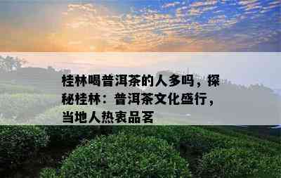 桂林喝普洱茶的人多吗，探秘桂林：普洱茶文化盛行，当地人热衷品茗