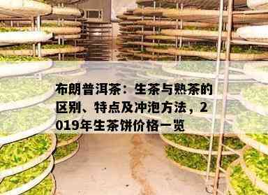 布朗普洱茶：生茶与熟茶的区别、特点及冲泡方法，2019年生茶饼价格一览