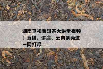 湖南卫视普洱茶大讲堂视频：直播、讲座、云南茶频道一网打尽