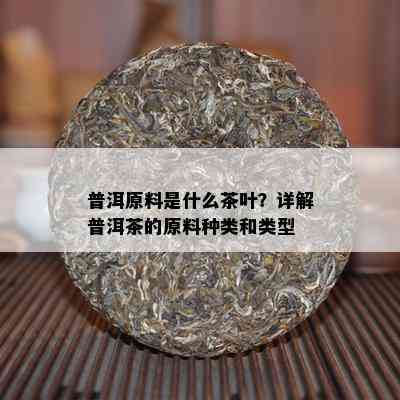 普洱原料是什么茶叶？详解普洱茶的原料种类和类型