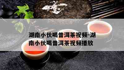 湖南小伙喝普洱茶视频-湖南小伙喝普洱茶视频播放