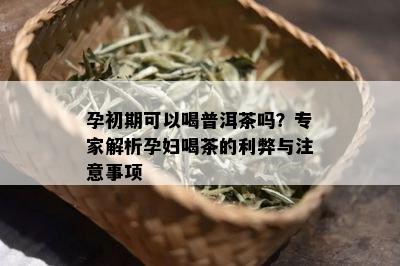 孕初期可以喝普洱茶吗？专家解析孕妇喝茶的利弊与注意事项