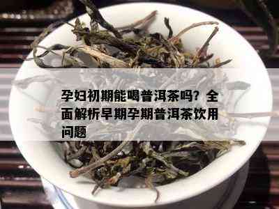 孕妇初期能喝普洱茶吗？全面解析早期孕期普洱茶饮用问题