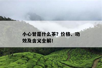 小心甘是什么茶？价格、功效及含义全解！