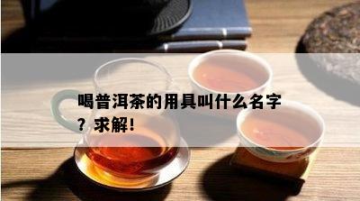 喝普洱茶的用具叫什么名字？求解！