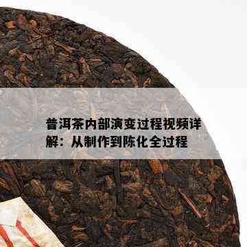 普洱茶内部演变过程视频详解：从制作到陈化全过程