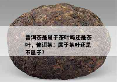 普洱茶是属于茶叶吗还是茶叶，普洱茶：属于茶叶还是不属于？