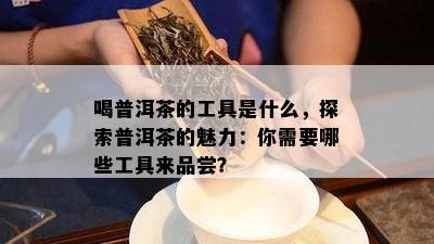 喝普洱茶的工具是什么，探索普洱茶的魅力：你需要哪些工具来品尝？