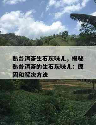 熟普洱茶生石灰味儿，揭秘熟普洱茶的生石灰味儿：原因和解决方法