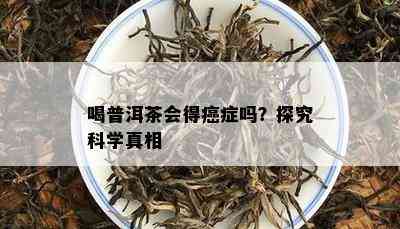 喝普洱茶会得癌症吗？探究科学真相