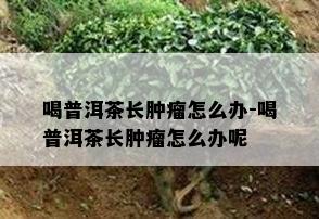 喝普洱茶长肿瘤怎么办-喝普洱茶长肿瘤怎么办呢