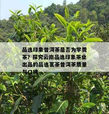 品逸印象普洱茶是否为学费茶？探究云南品逸印象茶业出品的品逸茗茶普洱茶质量与口碑