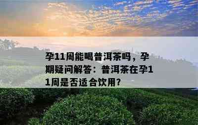 孕11周能喝普洱茶吗，孕期疑问解答：普洱茶在孕11周是否适合饮用？