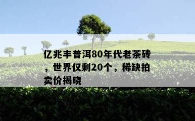 亿兆丰普洱80年代老茶砖，世界仅剩20个，稀缺拍卖价揭晓