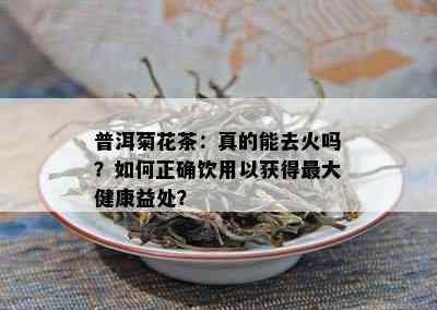 普洱菊花茶：真的能去火吗？如何正确饮用以获得更大健康益处？