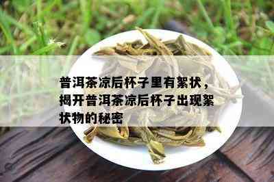 普洱茶凉后杯子里有絮状，揭开普洱茶凉后杯子出现絮状物的秘密