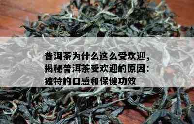 普洱茶为什么这么受欢迎，揭秘普洱茶受欢迎的原因：独特的口感和保健功效