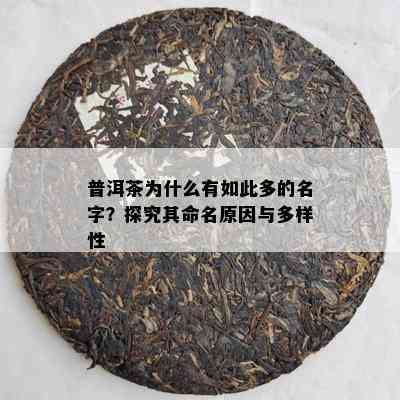 普洱茶为什么有如此多的名字？探究其命名原因与多样性